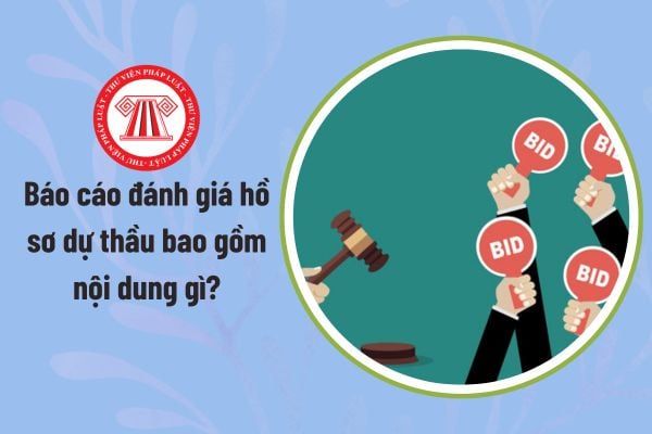 Pháp luật