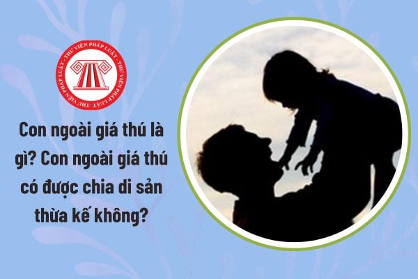 Pháp luật