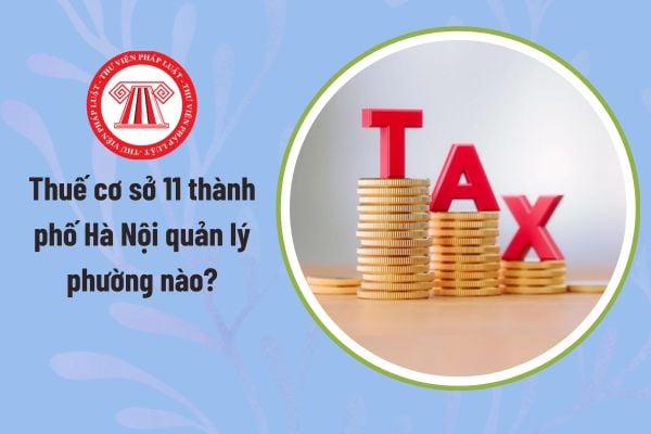 Pháp luật