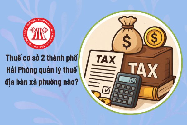 Pháp luật
