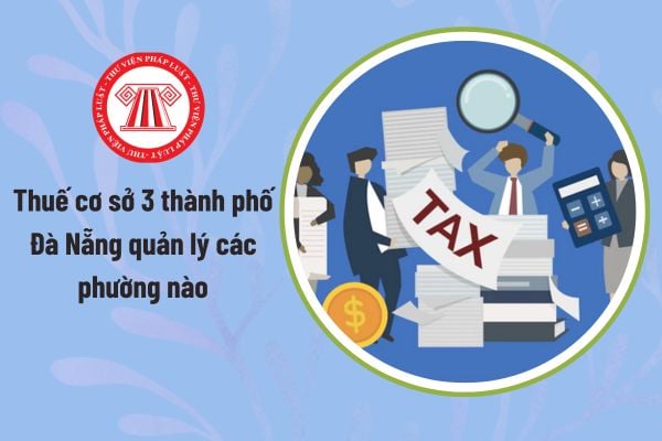 Pháp luật