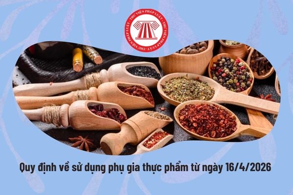 Pháp luật