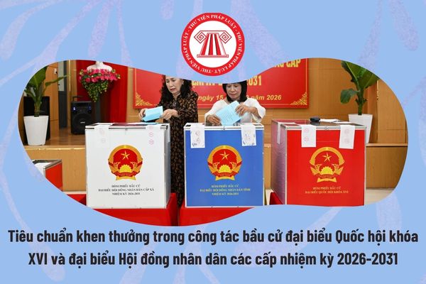 Pháp luật