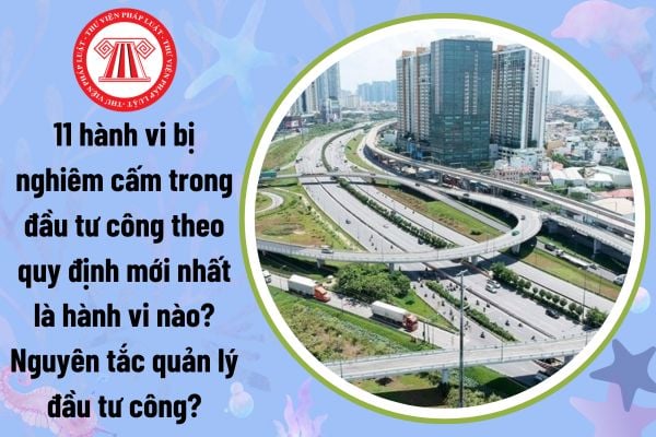 11 hành vi bị nghiêm cấm trong đầu tư công theo quy định mới nhất là hành vi nào? Nguyên tắc quản lý đầu tư công?