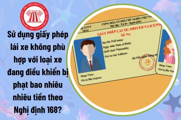 Sử dụng giấy phép lái xe không phù hợp với loại xe đang điều khiển bị phạt bao nhiêu nhiêu tiền theo Nghị định 168?