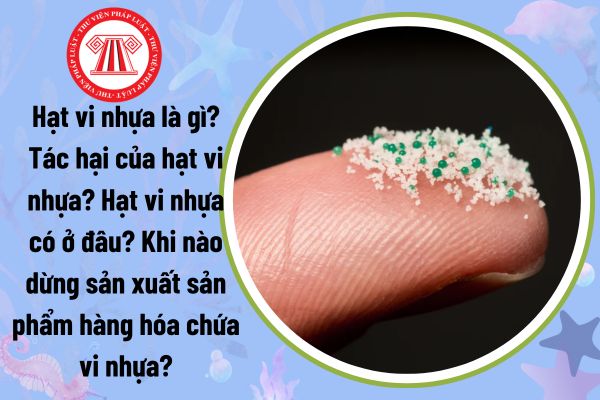 Hạt vi nhựa là gì? Tác hại của hạt vi nhựa? Hạt vi nhựa có ở đâu? Khi nào dừng sản xuất sản phẩm hàng hóa chứa vi nhựa?