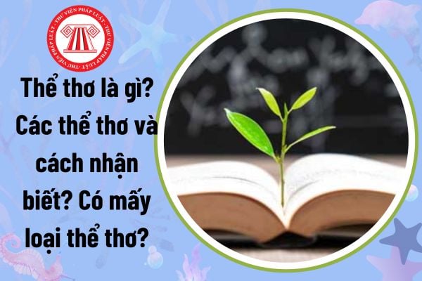 Thể thơ là gì? Các thể thơ và cơ hội nhận biết? Có bao nhiêu thể loại thơ?