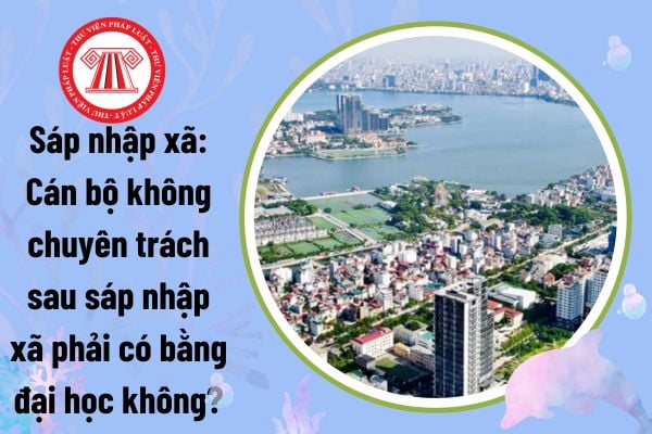 Cán bộ không chuyên trách sau sáp nhập xã phải có bằng đại học không? Quy định về bằng cấp cán bộ không chuyên trách thế nào?