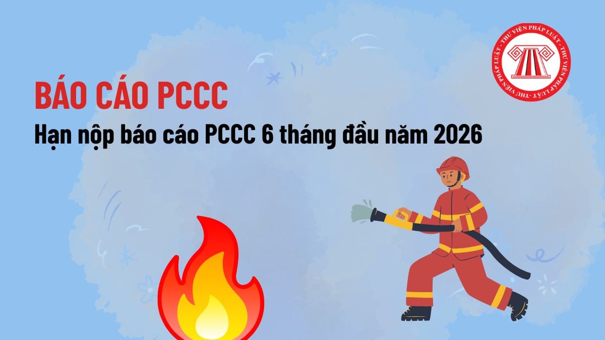 Pháp luật