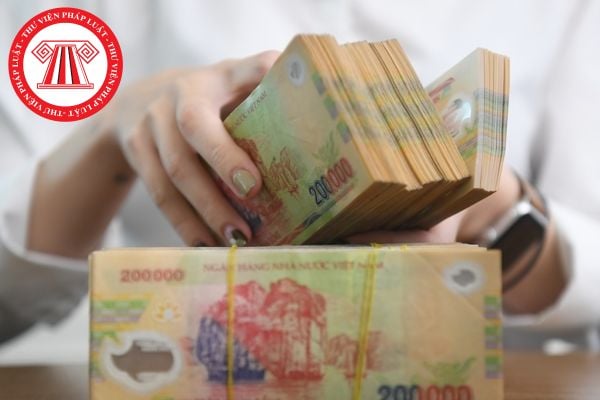 Pháp luật