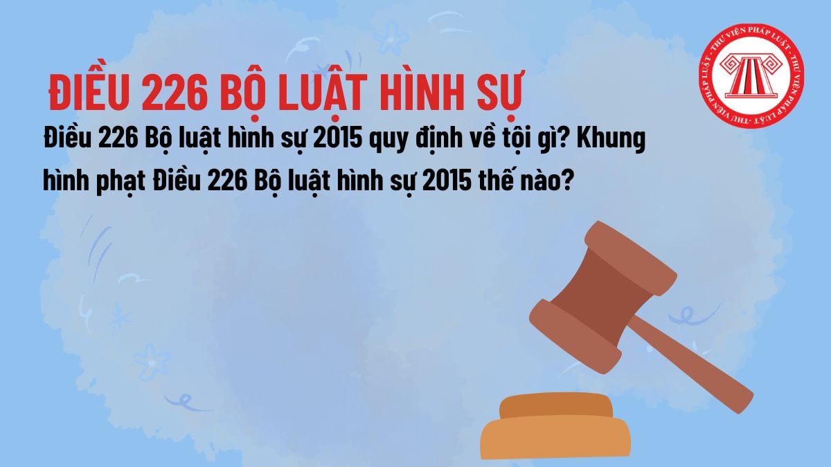 Pháp luật