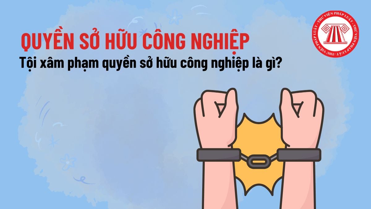 Pháp luật