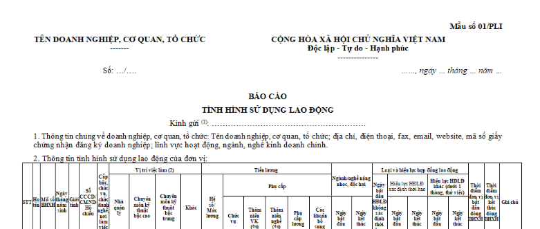 Không còn Bộ LĐ-TB-XH thì báo cáo tình hình sử dụng lao động 6 tháng đầu năm được gửi đến cơ quan nào?