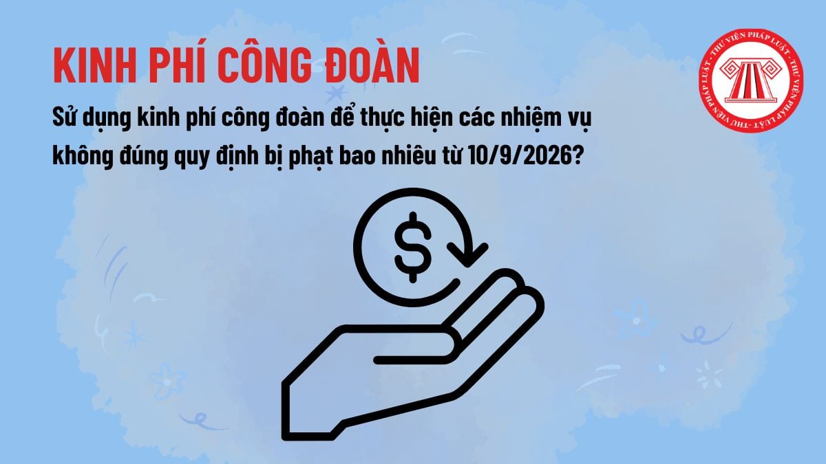 Pháp luật