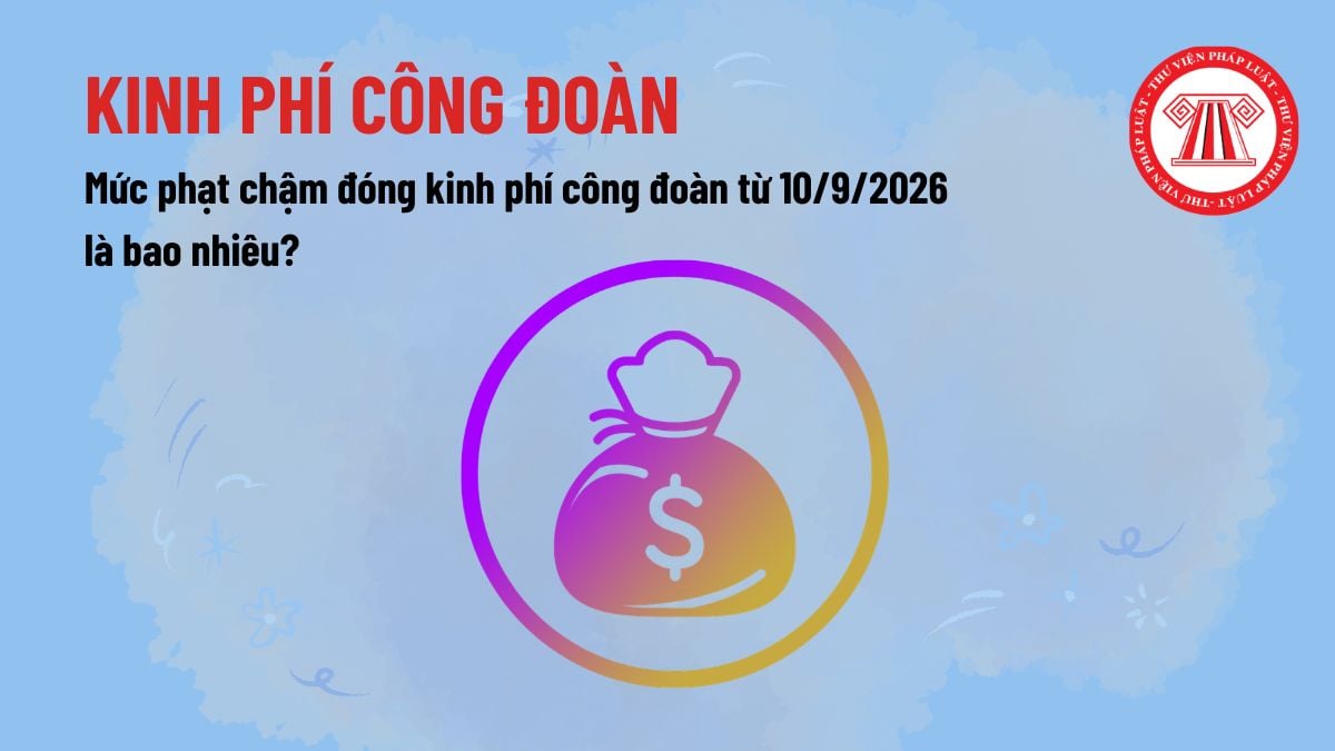 Pháp luật