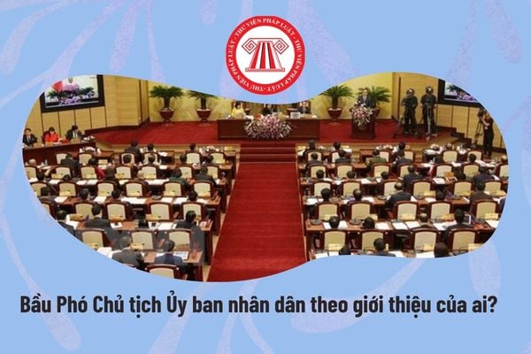 Pháp luật