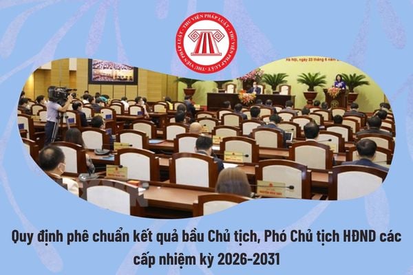 Pháp luật