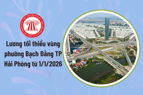 Pháp luật