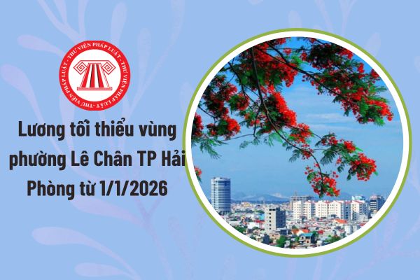 Pháp luật