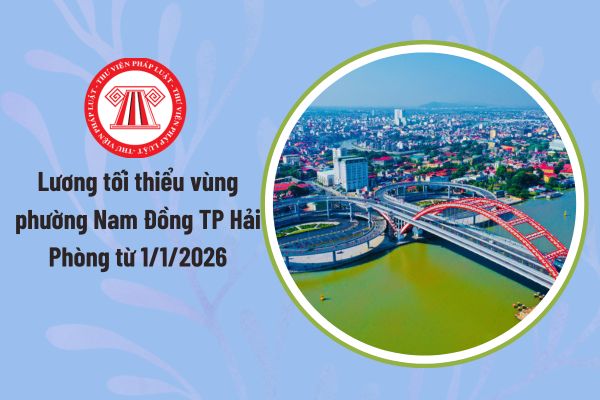 Pháp luật