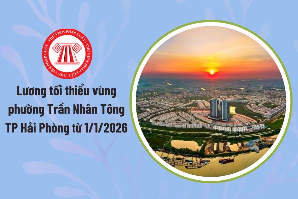 Pháp luật