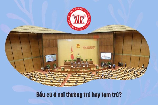 Pháp luật