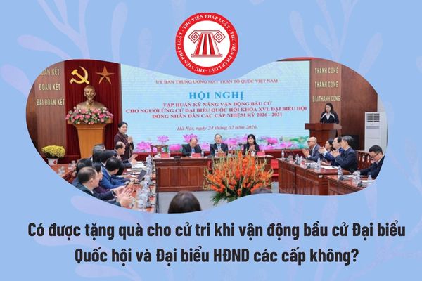 Pháp luật