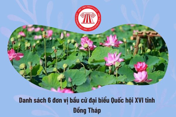 Pháp luật