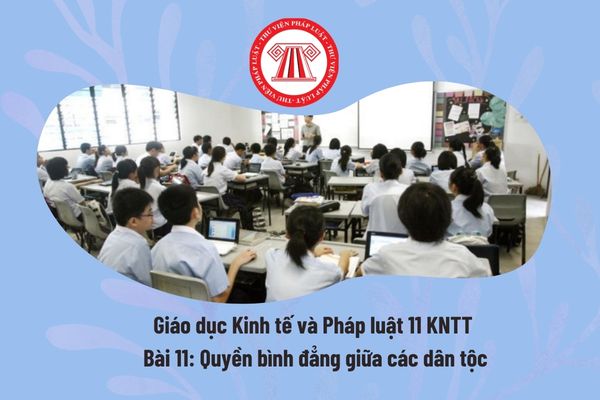 Pháp luật