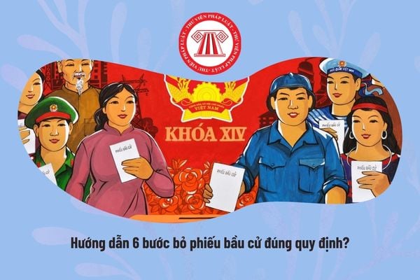 Pháp luật