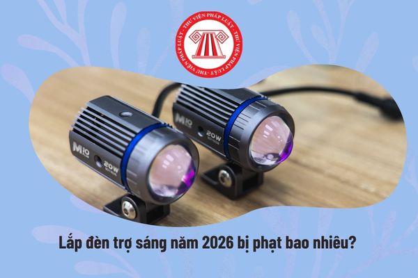 Pháp luật