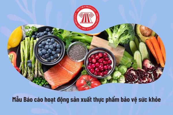 Mẫu Báo cáo hoạt động sản xuất thực phẩm bảo vệ sức khỏe theo Nghị định 46? Mẫu số 15 Nghị định 46?