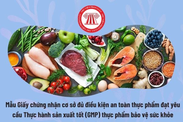Pháp luật