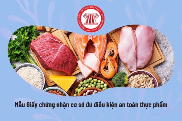 Pháp luật