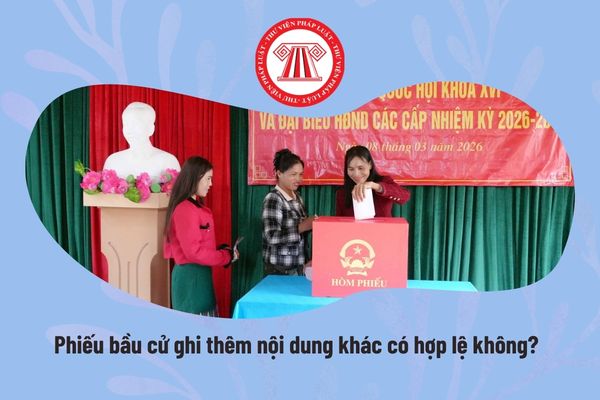 Pháp luật