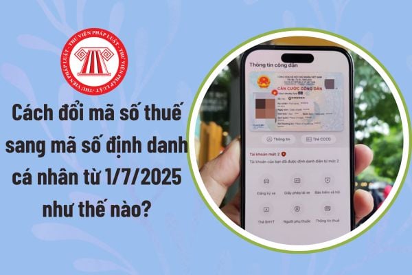 Pháp luật