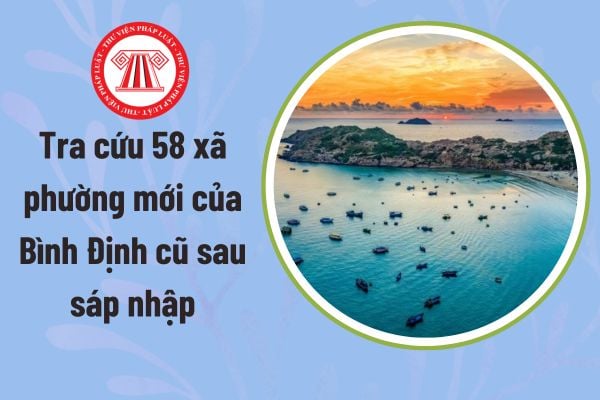 Pháp luật
