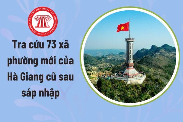 Pháp luật