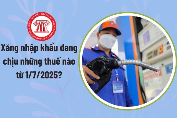 Pháp luật