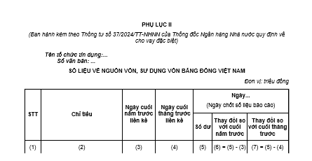 Mẫu số liệu về nguồn vốn, sử dụng vốn bằng đồng việt nam trong trường hợp cho vay đặc biệt mới nhất?