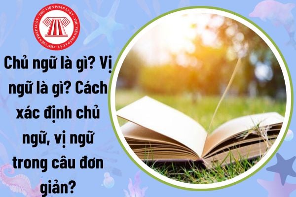 Chủ ngữ là gì? Vị ngữ là gì? Các xác lập căn nhà ngữ, vị ngữ nhập câu đơn giản? Cho ví dụ minh họa?