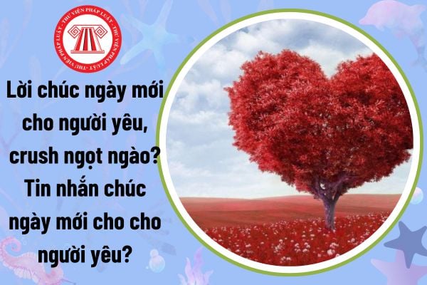 Lời chúc ngày mới cho người yêu, crush ngọt ngào? Tin nhắn chúc ngày mới cho cho người yêu đơn giản?