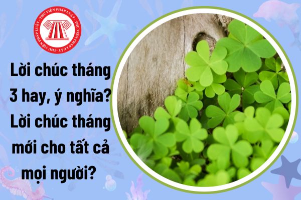 Lời chúc tháng 3 hay, ý nghĩa? Lời chúc tháng mới cho tất cả mọi người? Một tháng được làm thêm bao nhiêu giờ?