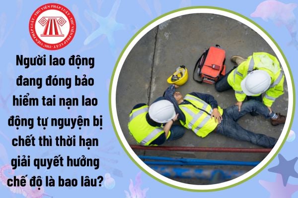 Người lao động đang đóng bảo hiểm tai nạn lao động tự nguyện bị chết thì thời hạn giải quyết hưởng chế độ là bao lâu?