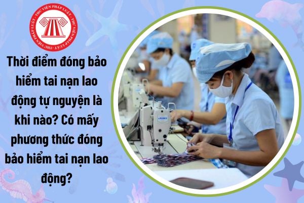 Thời điểm đóng bảo hiểm tai nạn lao động tự nguyện là khi nào? Có mấy phương thức đóng bảo hiểm tai nạn lao động?