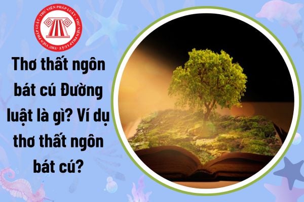 Thơ thất ngôn bát cú Đường luật là gì? Ví dụ thơ thất ngôn bát cú? Giáo dục trung học cơ sở được thực hiện trong mấy năm?