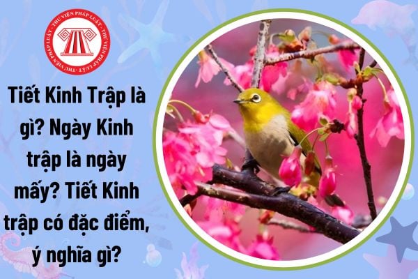 Tiết Kinh Trập là gì? Ngày Kinh trập là ngày mấy? Tiết Kinh trập có đặc điểm, ý nghĩa gì? Ngày Kinh trập có phải ngày lễ lớn?