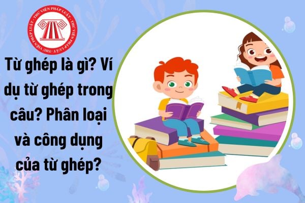 Từ ghép là gì? Ví dụ từ ghép trong câu? Phân loại và công dụng của từ ghép thế nào? Học sinh tiểu học có quyền gì?