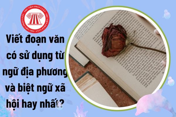 Viết đoạn văn có sử dụng từ ngữ địa phương và biệt ngữ xã hội hay nhất? Phát triển giáo dục được quy định thế nào?