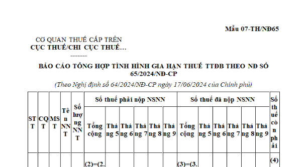 Mẫu Báo cáo tổng hợp tình hình gia hạn thuế tiêu thụ đặc biệt mới nhất là mẫu nào? Tải về ở đâu?